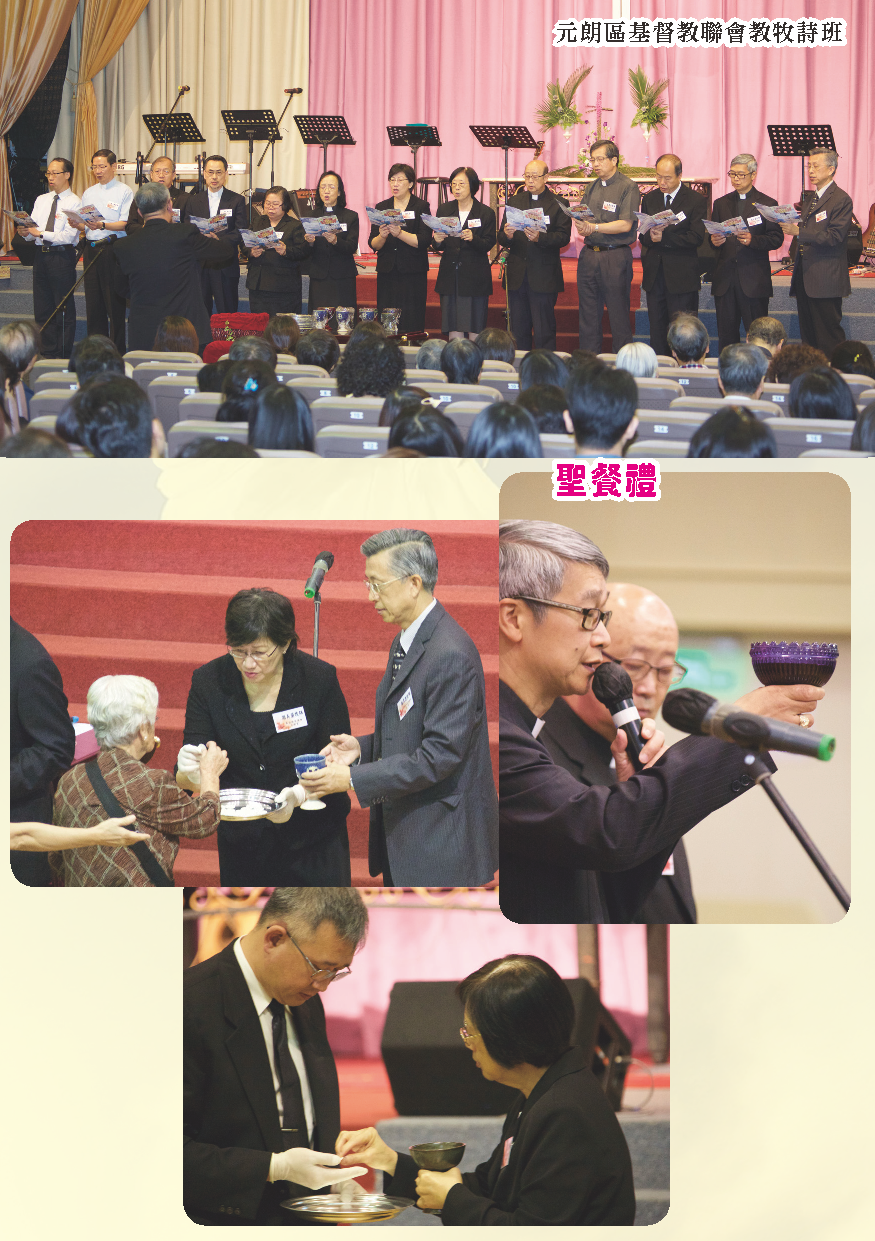2014-15年報-第11頁